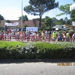 muovar201106