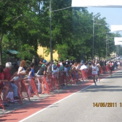 muovar201131
